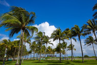 Miami Beach Ocean boulevard Art Deco Florida