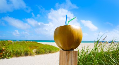 Miami South Beach 2 payet Hindistan cevizi Florida
