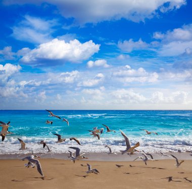 Singer Island beach at Palm Beach Florida US clipart