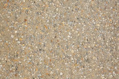 Palm Beach kabukları beton toprak Florida