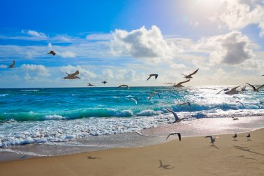 Singer Island beach Palm Beach Florida bize