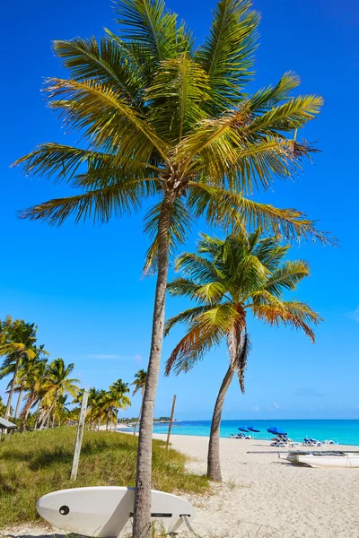 Кі-Уест Флорида Smathers пляж пальмами, нас — стокове фото