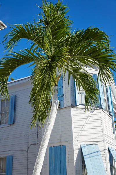 Key west downtown street houses in Florida — Stock Photo, Image