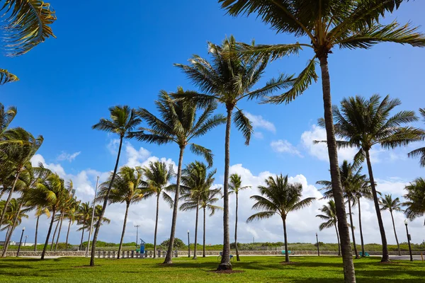 Miami Beach Ocean Boulevard Art Deco Florida — Fotografia de Stock