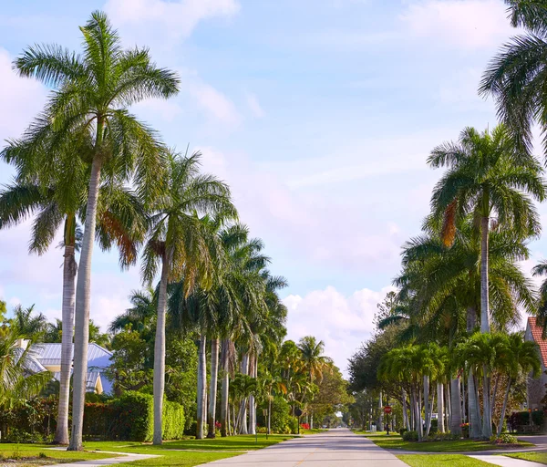 Неаполь пляжные улицы с пальмами Флорида США — стоковое фото