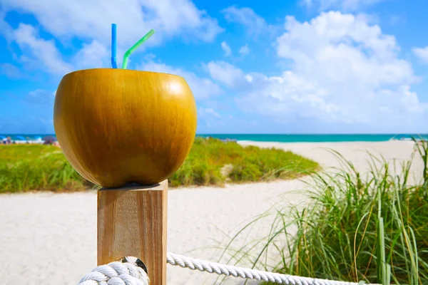 Miami South Beach 2 palhas de coco Florida — Fotografia de Stock