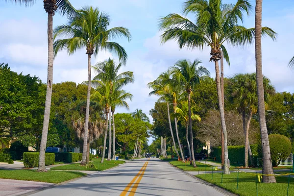 Naples beach sokakları palmiye ağaçları Florida bize — Stok fotoğraf