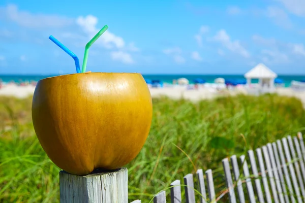 フロリダ州マイアミ サウス ビーチ 2 ストロー ココナッツ — ストック写真