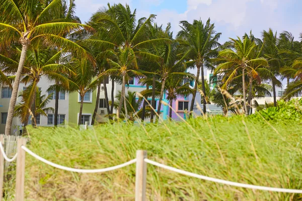 Miami Beach вход с пальмами Флорида США — стоковое фото
