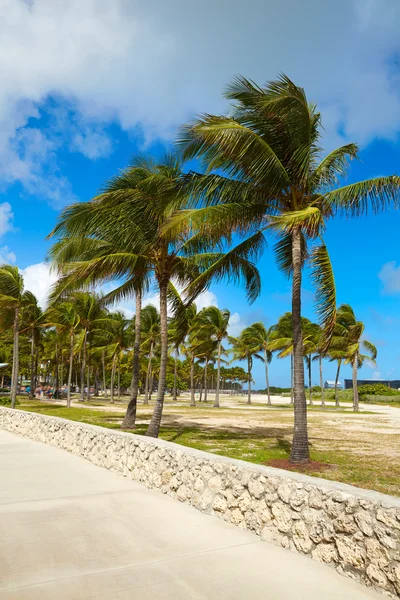 Het zuidelijke strand ingang Miami, Florida ons — Stockfoto