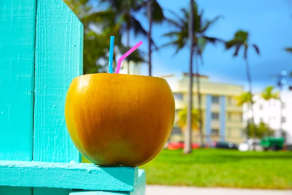 Miami South Beach 2 straws coconut Florida — Stock Photo, Image