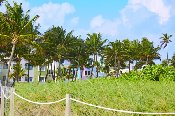 Miami Beach entrance with palm trees Florida US — Stock Photo, Image