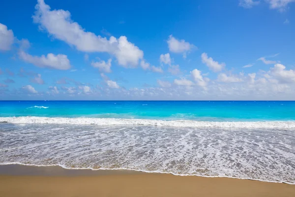 Palmenstrand Strand Küste florida uns — Stockfoto