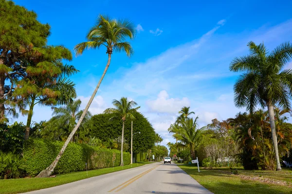 Naples beach streets with palm trees Florida US — Stock Photo, Image