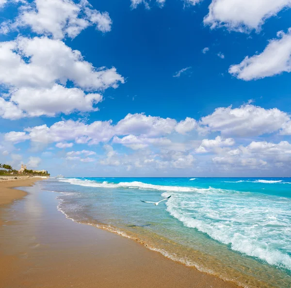 Palmenstrand Strand Küste florida uns — Stockfoto