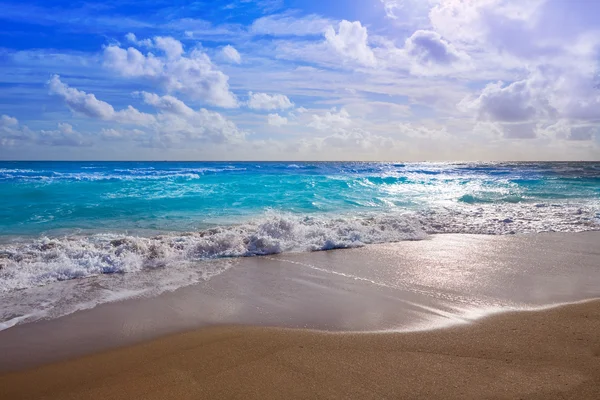 Sängerin Inselstrand am Palmenstrand florida us — Stockfoto