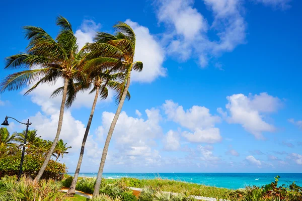 Palm Beach praia litoral Florida EUA — Fotografia de Stock