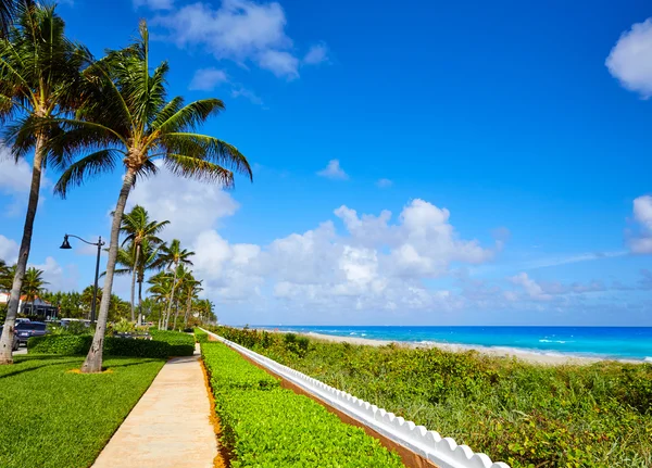 Palmenstrand Strand Küste florida uns — Stockfoto