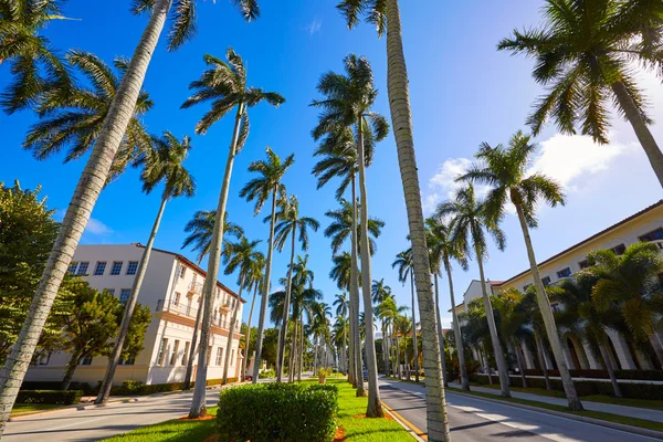 Palm Beach Royal Palm Way Florida US — Stok Foto