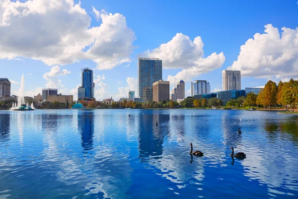 Orlando skyline fom lake Eola Florida USA – stockfoto