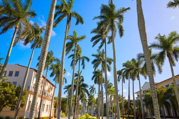 Palm Beach royal Palm způsob Florida nás — Stock fotografie