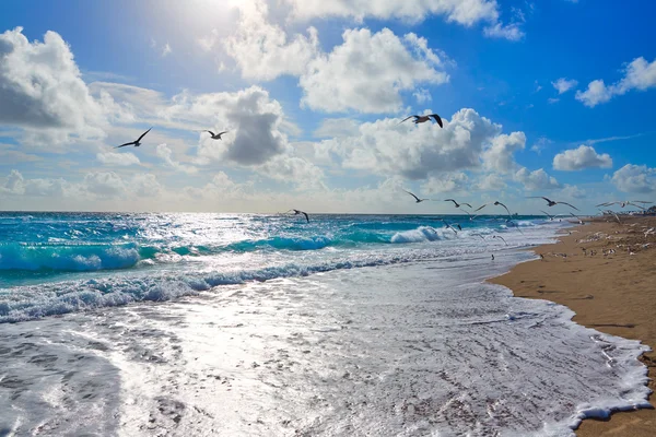 Singer Island beach på Palm Beach Florida oss — Stockfoto