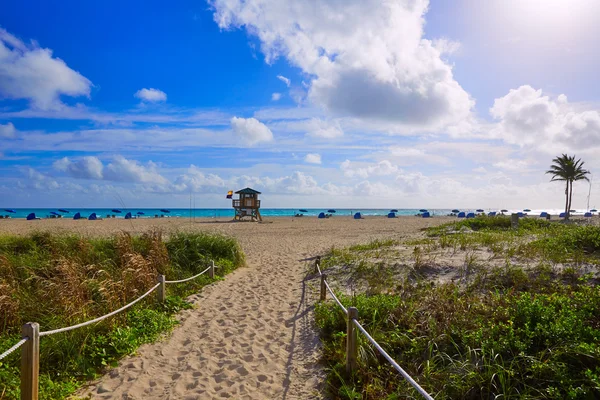 Співачка острів пляжу на Palm Beach Florida нас — стокове фото