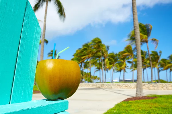 Miami South Beach 2 straws coconut Florida Royalty Free Stock Images