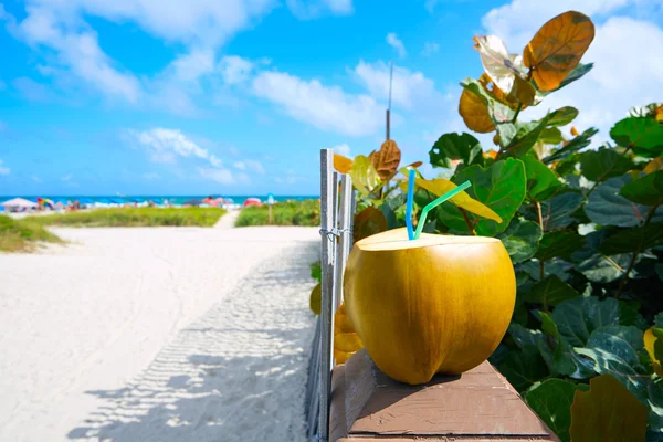 Miami South Beach 2 straws coconut Florida Stock Image