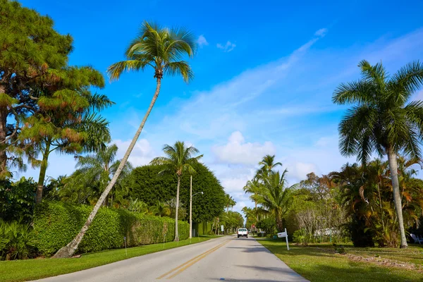 Neapel strandstraßen mit palmen florida uns — Stockfoto