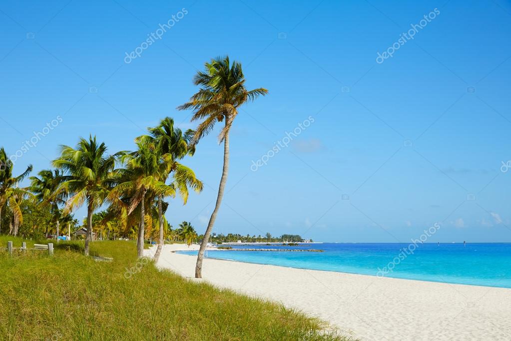 Key West Florida Smathers Beach Palm Trees Us Stock Photo Key West Florida Smathers Beach Palm Trees Us Stock Photo