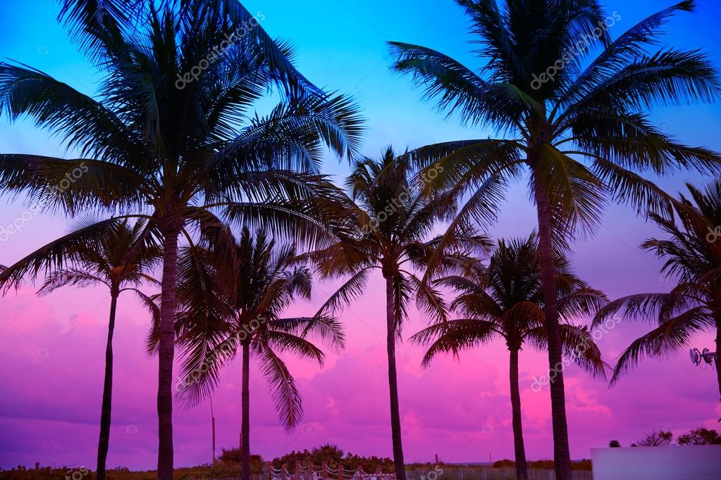 Pictures Miami Beach Sunset Miami Beach South Beach