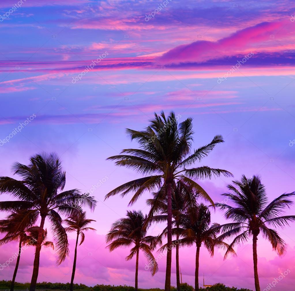 7 Amazing South Florida Beaches To Visit (2025)! - ALWAYS ON THE SHORE, image size:1023x1007