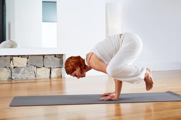Karga Yoga Pose ahşap zemin spor salonunda — Stok fotoğraf