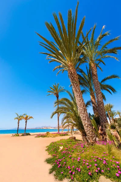 Aguilas poniente beach murcia i Spanien — Stockfoto