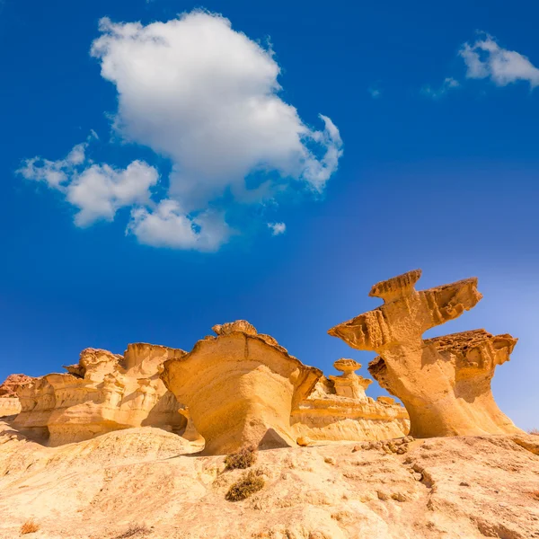 Bolnuevo Mazarron eroded sandstones Murcia — Stock Photo, Image