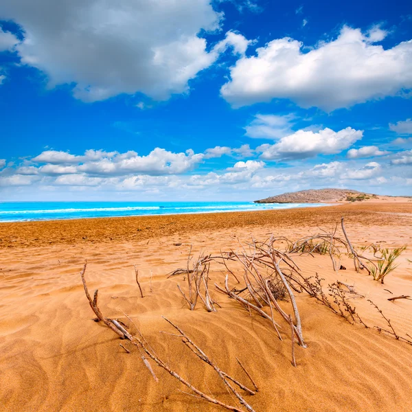 Spiaggia calblanque Parco Manga Mar Menor Murcia — Foto Stock