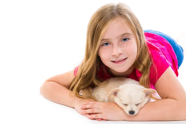 Blond kid girl with puppy chihuahua pet dog — Stock Photo, Image