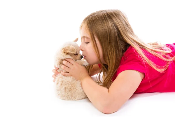 Sarışın çocuk kızla evde beslenen hayvan köpek chihuahua yavrusu — Stok fotoğraf