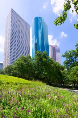 Houston Texas bize huzur Park manzarası