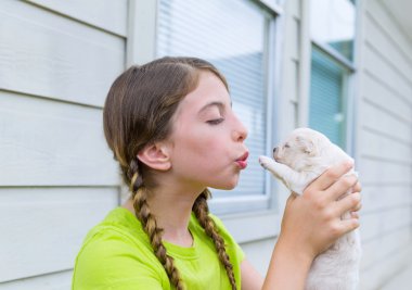 Chihuahua evde beslenen hayvan köpek yavrusu ile oynayan kız