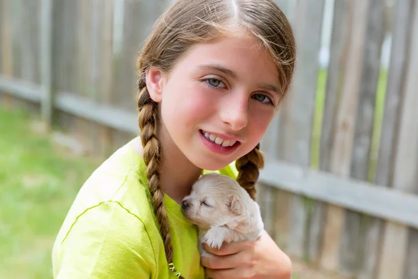 Girl playing with puppy chihuahua pet dog — Stock Photo, Image