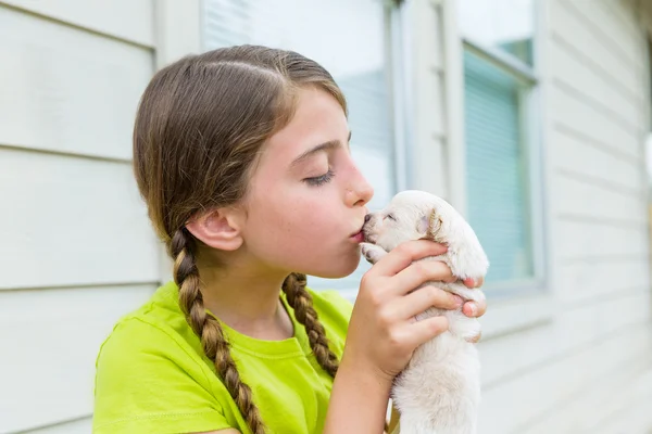 Flicka playingkissing valp chihuahua hund — Stockfoto