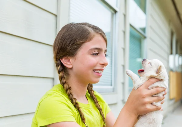 Menina brincando com cachorro chihuahua cão de estimação — Fotografia de Stock