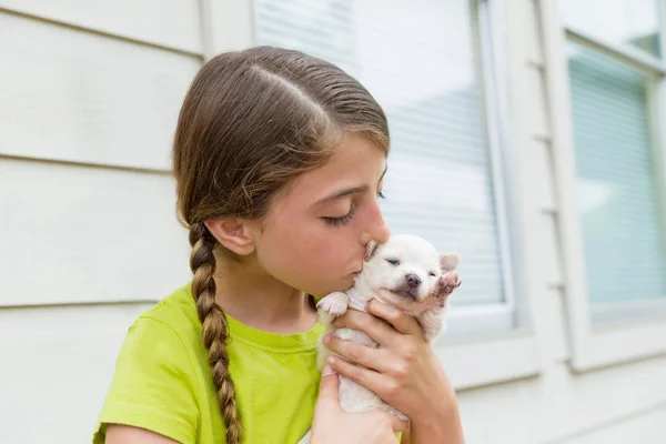 Menina brincando beijando cachorro chihuahua cão de estimação — Fotografia de Stock