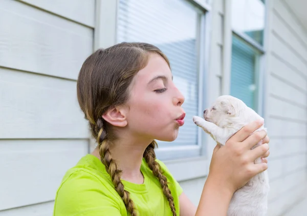 Dívka si hraje s domácí pes chihuahua štěně — Stock fotografie