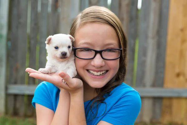 Niña con cachorro mascota chihuahua jugando feliz — Foto de Stock