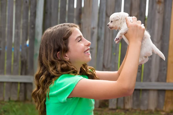 Niña con cachorro mascota chihuahua jugando feliz —  Fotos de Stock