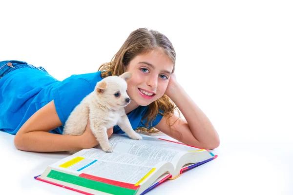 Niña con cachorro chihuahua mascota perro en la tarea — Foto de Stock