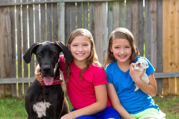 İkiz kız kardeşler evde beslenen hayvan köpek yavrusu ve Danua oynama — Stok fotoğraf